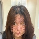 스테이지 | 평택 고덕 미용실 블룸스테이지 염색 후기 체스트넛 컬러 추천 받은 이유