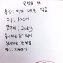 에이포스토리