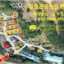 일월관광농원캠핑 이미지