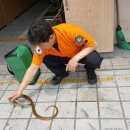 칠성원시장 이미지