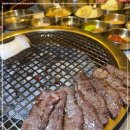금성회관강릉교동점