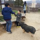 치악복싱체육관 이미지