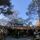 서울 근교 드라이브 춘천 당일치기 닭갈비 카페드볼트220 후기