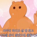 바닮참치&연어