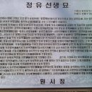 정유선생묘 이미지