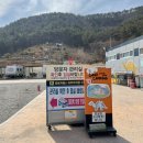 고성 다이노 캠핑장 이미지