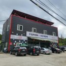 파파모터스 이미지