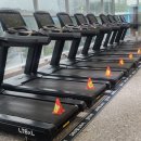 화이트짐 용인 동백점 | [용인 동백 헬스장 PT후기] 화이트짐 1:1 PT 어깨 운동 제대로 배웠어요!