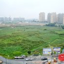 호수공원 10로 이미지