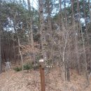 진원면사무소 이미지