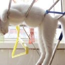 한이침장 이미지