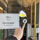 스타호텔 | [내돈내산] 멍스타 애견유치원&amp;호텔 6박7일 호텔링 후기