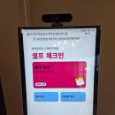사딕 | 부산 숙소 _ 부산 사딕 브라운도트 후기 / 가성비 숙소