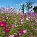 광교 에듀타운 이미지