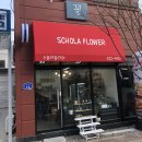 스콜라플라워