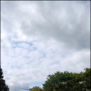 (주)푸름 이미지