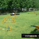 에버랜드 동물병원 이미지