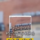 고양이 무마취미용 고미고미 화명점 이미지