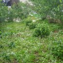 굿마루농장 이미지