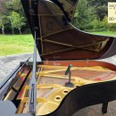 피아노의숲음악학원 | 송산근린공원 야마하그랜드피아노C5 렌탈 | 감동이 살아있는 피아노렌탈 버스킹 현장