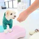 경기도 양평군 양평유치원 이미지