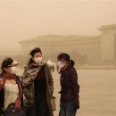 황사…가뭄…폭설…중국의 사라진 봄 이미지