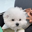 윤경목장 네이버블로그