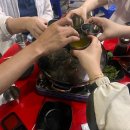 고실어린이공원 | 광주 대하구이맛집)수완지구 대하 새우 소금구이 술집 왕새우직판장 광주본점(새우구이)