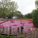 고강선사유적공원 이미지