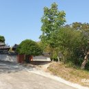 함평 자형정 이미지