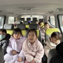 멘토태권도 이미지