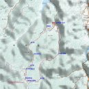 산과 들의 약용식물 | 포항 오어지 주변 산길 돌아보기(오미골-대골분기능선)