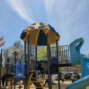 다대포하나약국 | [부산/다대포] 유아교육진흥원 - 6살 아들이 너무 좋아하는 곳