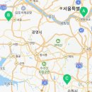 강아지분양 고양이분양 컴투펫 수원점 이미지