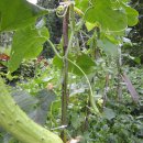 숭실농장 이미지