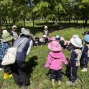 초록빛유치원 | 🌳✨ 아이큰별유치원 인천대공원 숲체험 후기 | 🐛잠자리숲 애벌레 찾기 🌿자연놀이 육아체험 💚