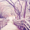 주안체육공원 이미지