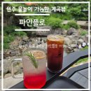 원주 용수골 아이들 물놀이 가능한 계곡 카페, 반려동물 동반 가능한 파인플로 카페 후기