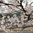 보령-주산-1 이미지