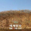 서판기획