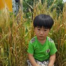 만석농장 이미지