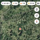 123♡벌초대행