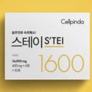 다음스테이 이미지