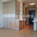 동양라디안루키 이미지