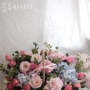 블루미시티