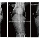 굿모닝동물병원 이미지