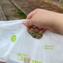 고봉민김밥인가수원