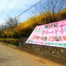부천둘레길4코스 | 4월 서울근교 봄꽃구경 가볼만한곳 , 춘덕산 복숭아...복사꽃 축제 취소 , 부천 둘레길 데이트코스 추천