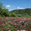 삼현리 경로당 이미지