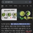 녹차 말차 차이 궁금해서 검색했는데 졸귀 ㅋㅋ 이미지